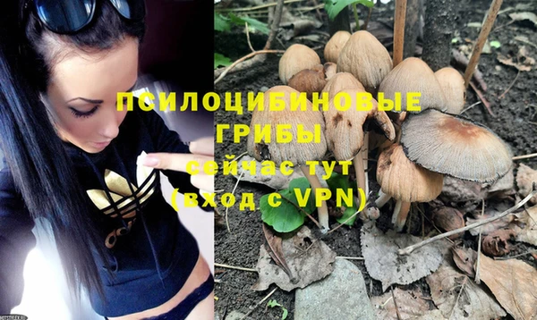 ешки Баксан