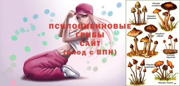 ешки Баксан
