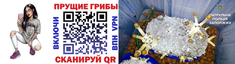 Галлюциногенные грибы GOLDEN TEACHER Белая Холуница